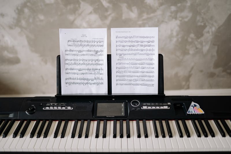 Digital piano is one of the easiest instrument to learn