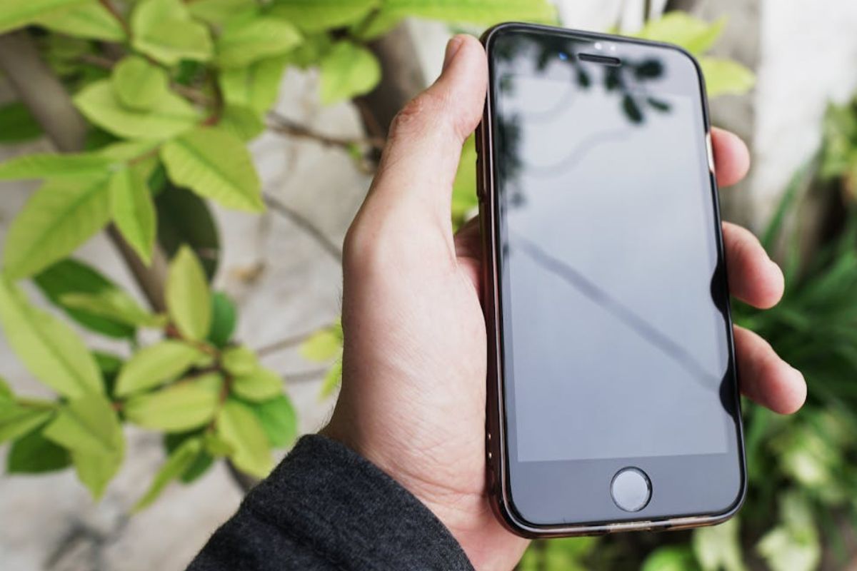 how to clear cache on iphone