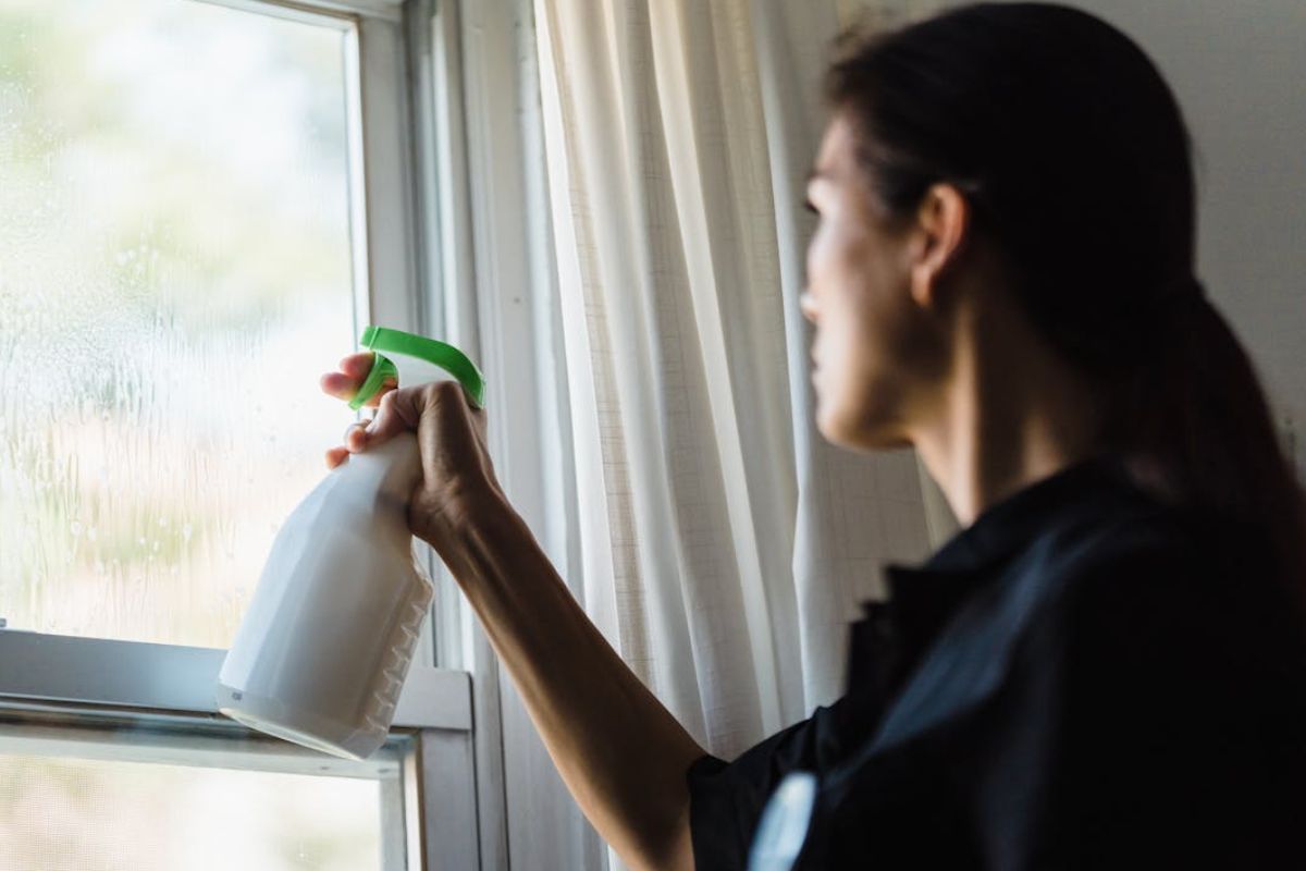 how to clean window screens