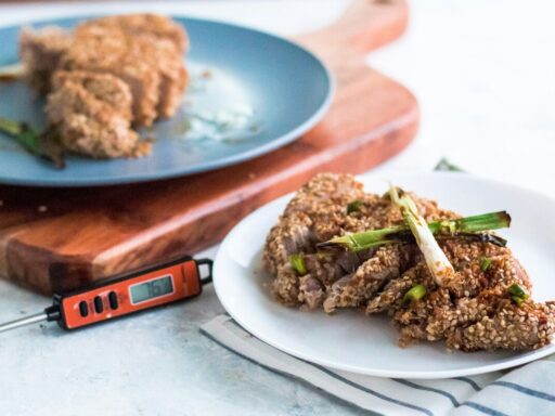 how to use a meat thermometer