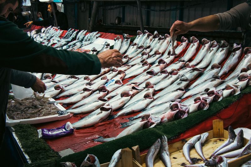 How to tell if a fish market near me is worth visiting