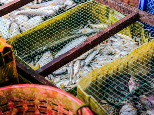 fish market near me