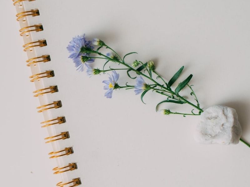 Tips to dry flower properly